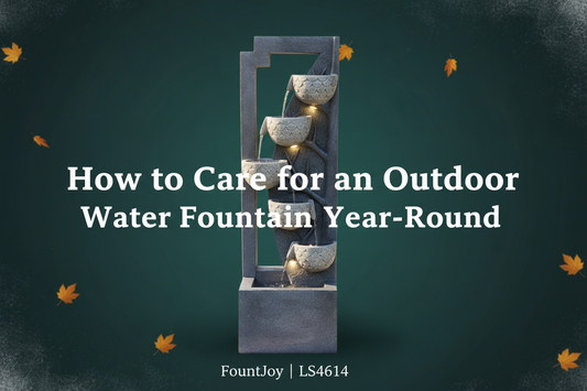 The Complete Year-Round Care Guide